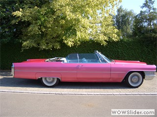 Caddi_2011