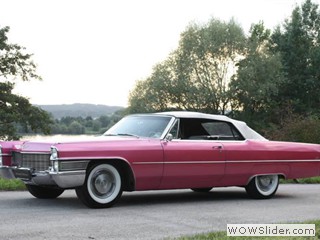 Caddi_Wien1
