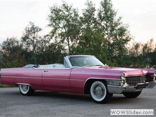 Caddi_Wien2